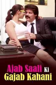 Ajab Saali Ki Gajab Kahani (2014) Hindi